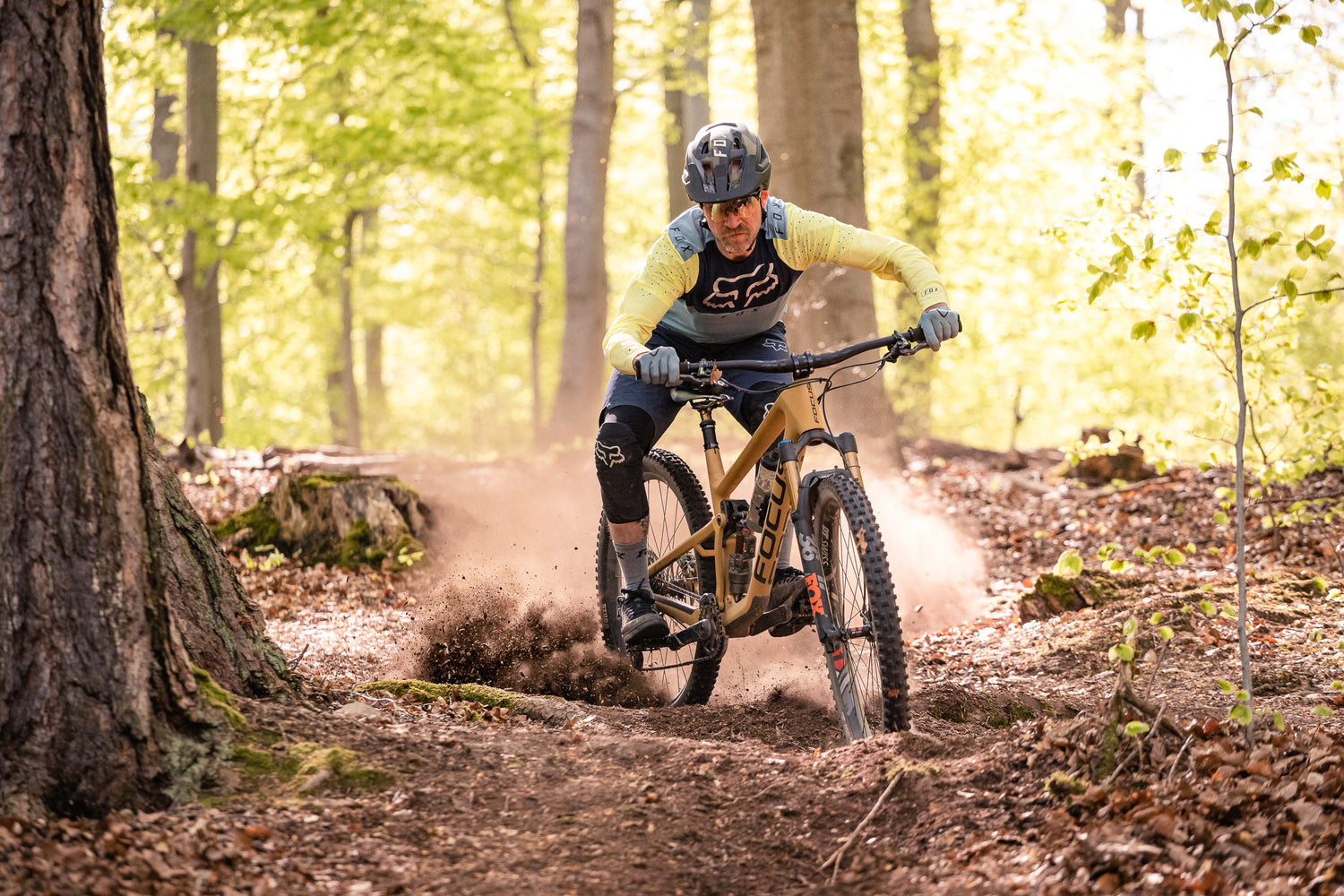 Mountainbiker im Wald