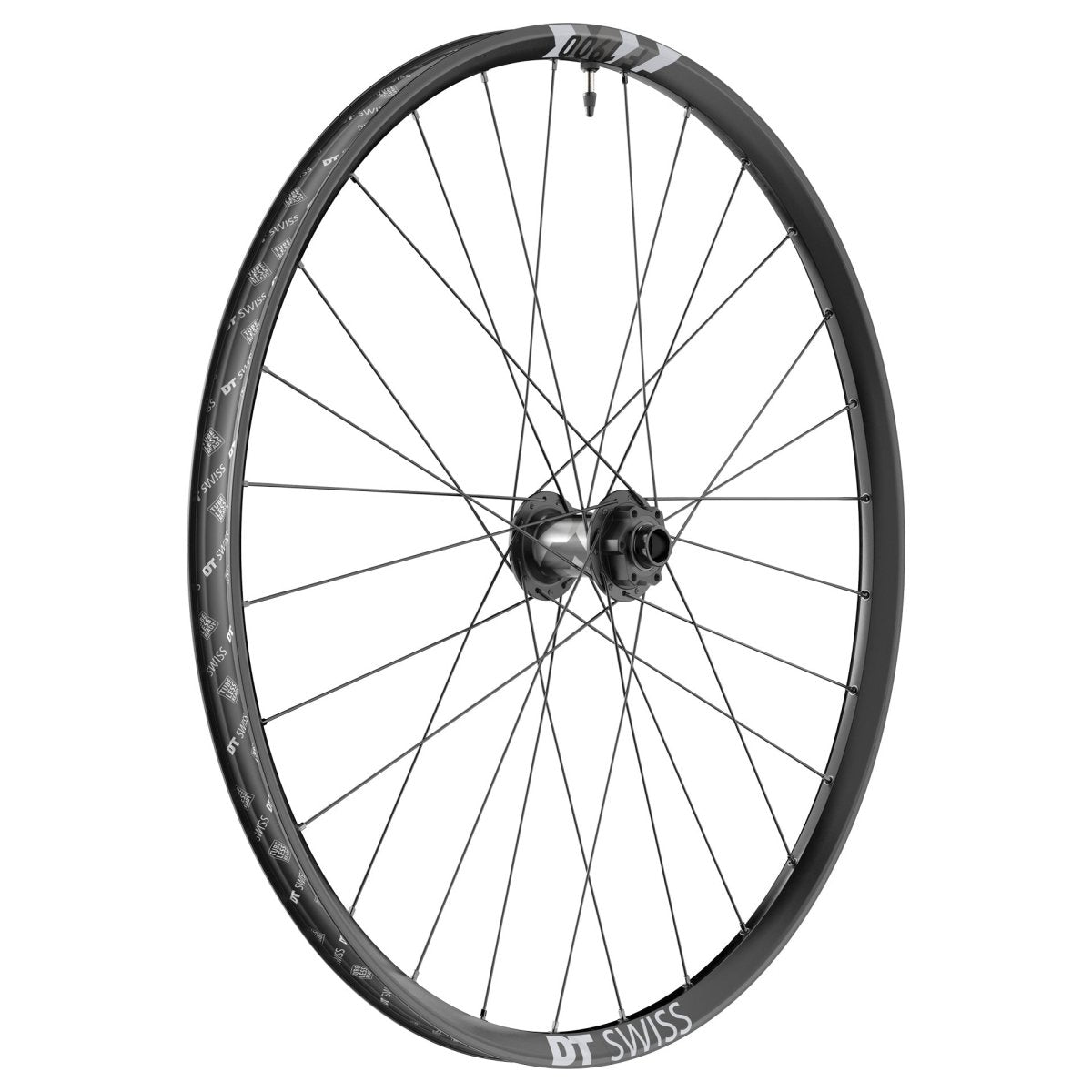 DT Swiss F 1900 Classic Vorderrad 29" | 30 mm Felgenbreite | 20x110 mm Boost | 6 - Loch Disc | Downhill - RAAAD.de