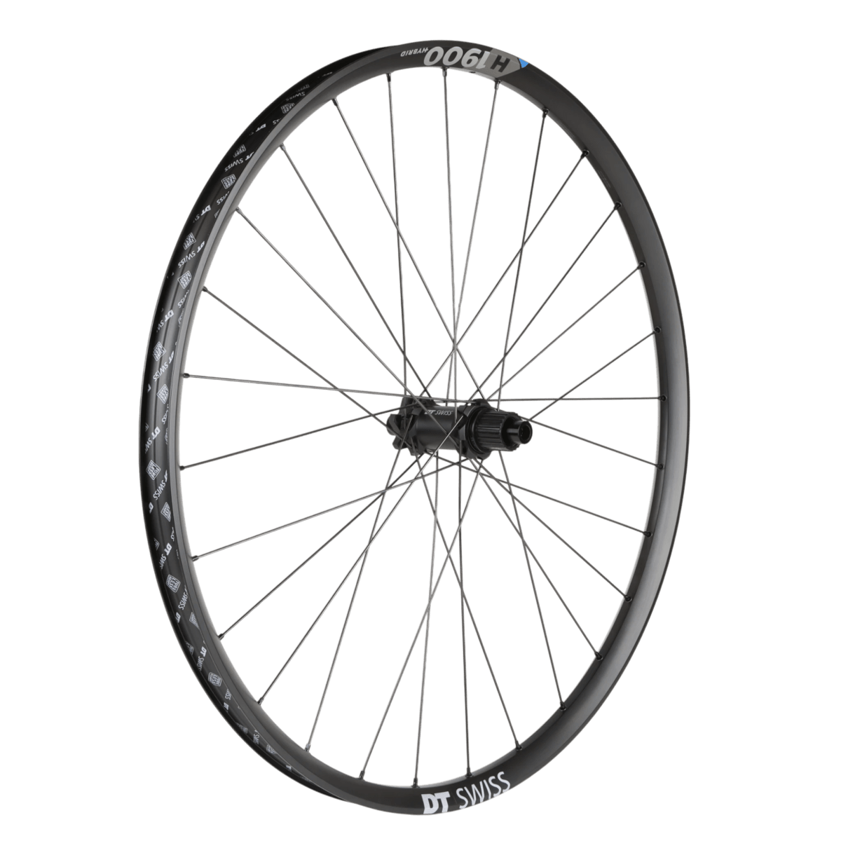 DT Swiss H 1900 Spline Hinterrad 29 Zoll 12x148mm 6 - Loch Shimano HG 30mm - RAAAD.de