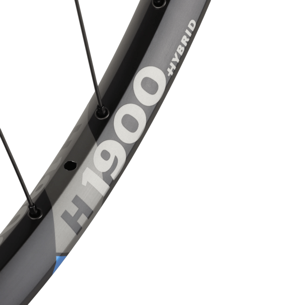 DT Swiss H 1900 Spline Hinterrad 29 Zoll 12x148mm 6 - Loch Shimano HG 30mm - RAAAD.de