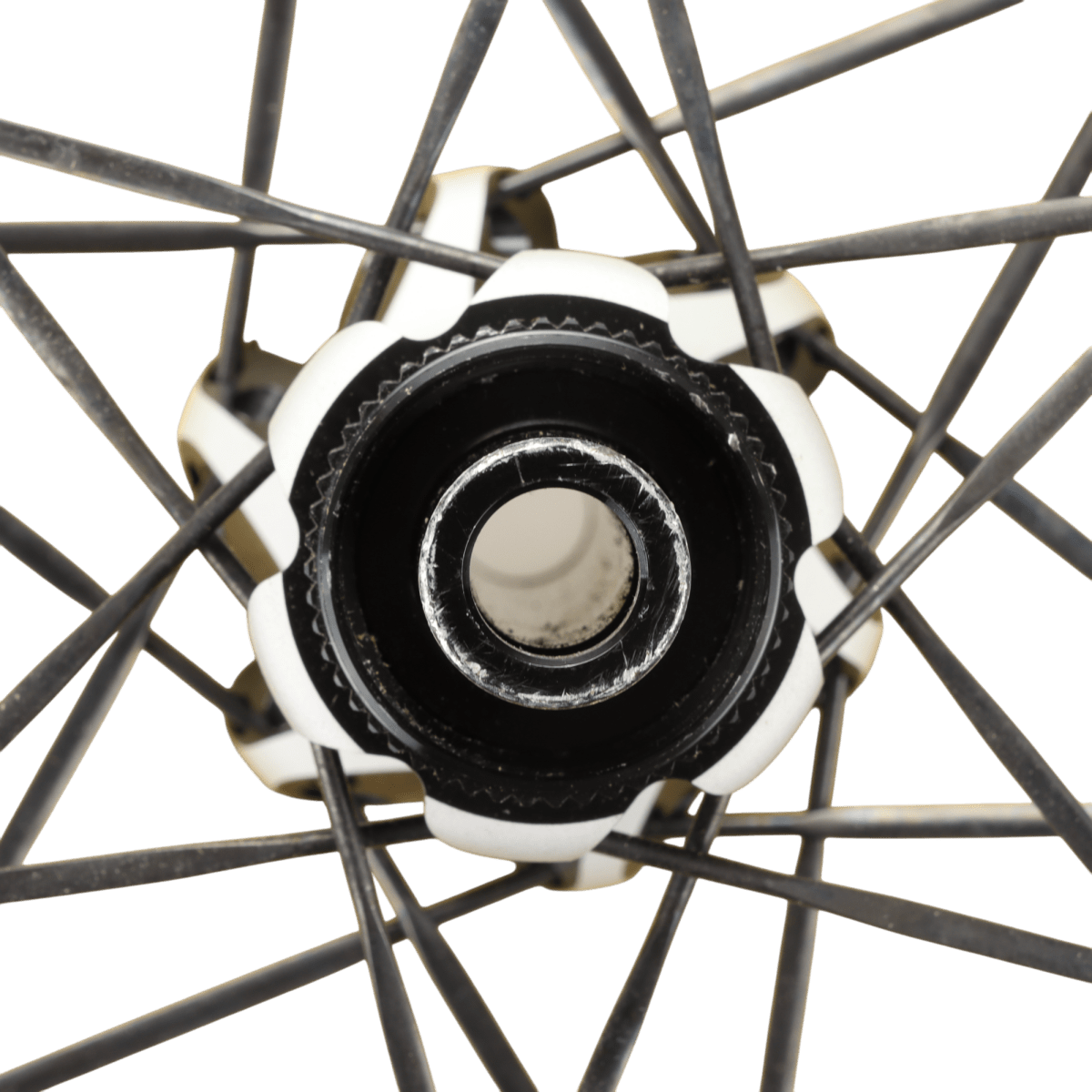 DT Swiss Hinterrad ER1600 Spline DB 23 700C Disc 12x142mm Shimano (B - Ware) - RAAAD.de