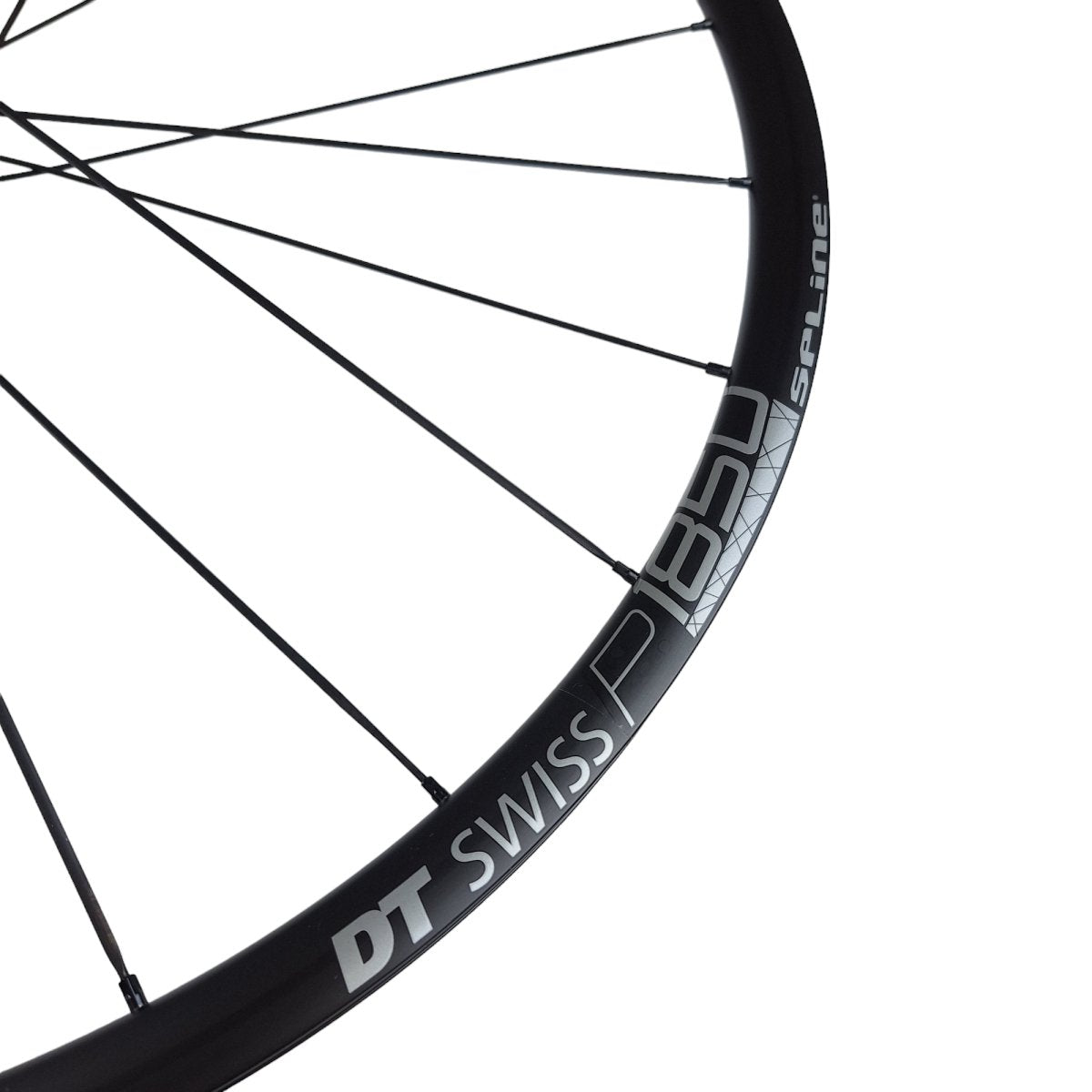 DT Swiss Hinterrad P1850 Spline 23 DB 28 Zoll Rennrad Shimano HG Laufrad - RAAAD.de