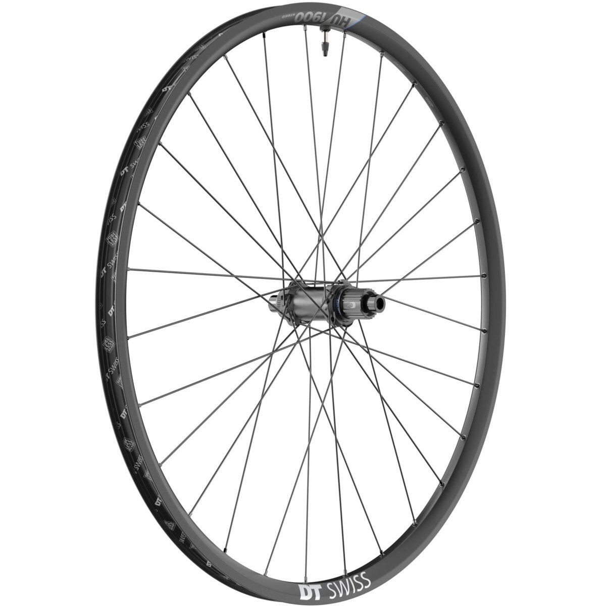 DT Swiss HU 1900 Spline 29" 25 mm Hinterrad 12x148 mm Boost Centerlock Shimano Microspline - RAAAD.de