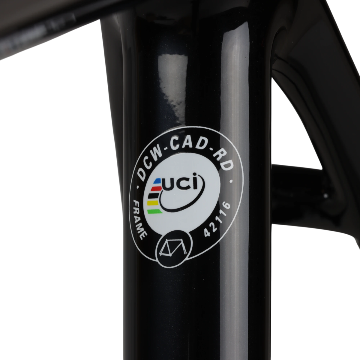 Focus Izalco Race Disc Rahmen Rennrad Carbon schwarz (54 cm/M) - RAAAD.de