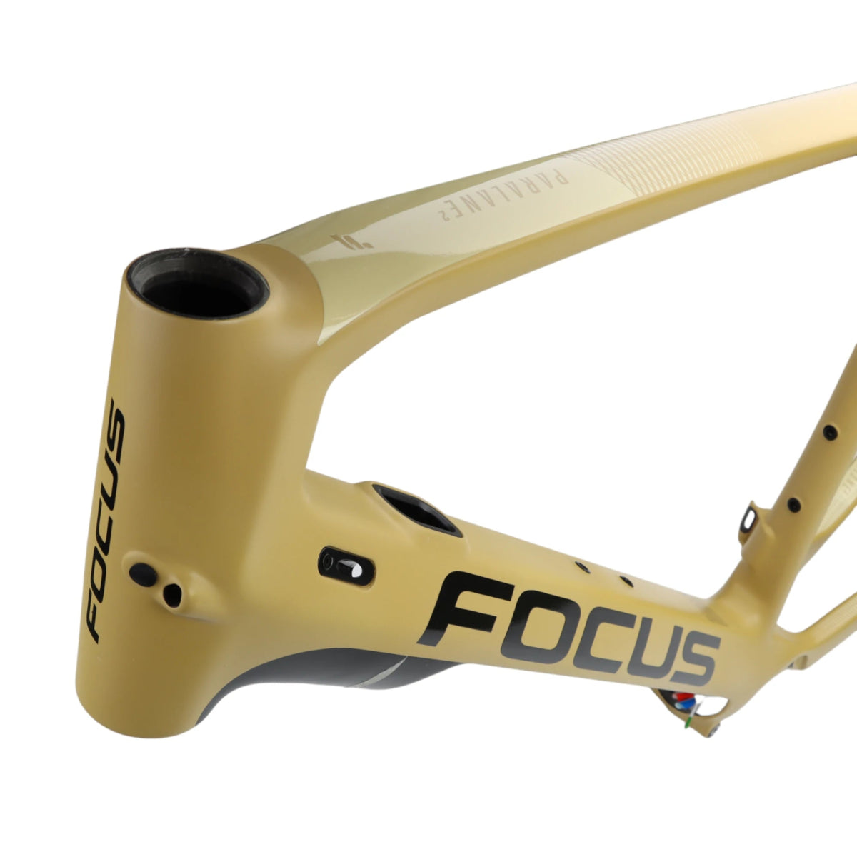 Focus Paralane 9.6 GC Rahmen Gravel E-Bike Carbon Sandbraun (57 cm/L) - RAAAD.de