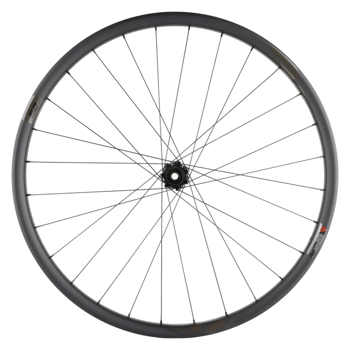 Lapierre AM Carbon Hinterrad 29 Zoll Boost 12x148mm Microspline 6 - Loch - RAAAD.de