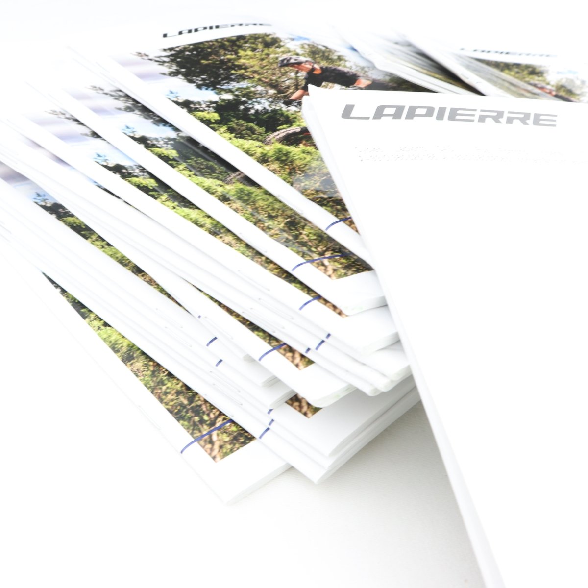 Lapierre Anleitung Bosch (40 Stück) - RAAAD.de