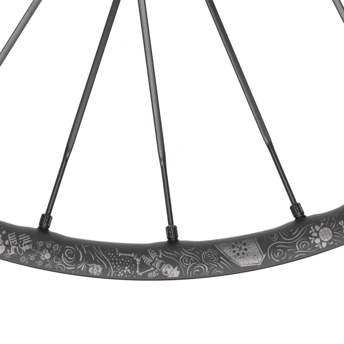 MAVIC Vorderrad DEEMAX PRO 27.5" Boost 15x110 mm 6 - Loch SAM HILL Edition - RAAAD.de