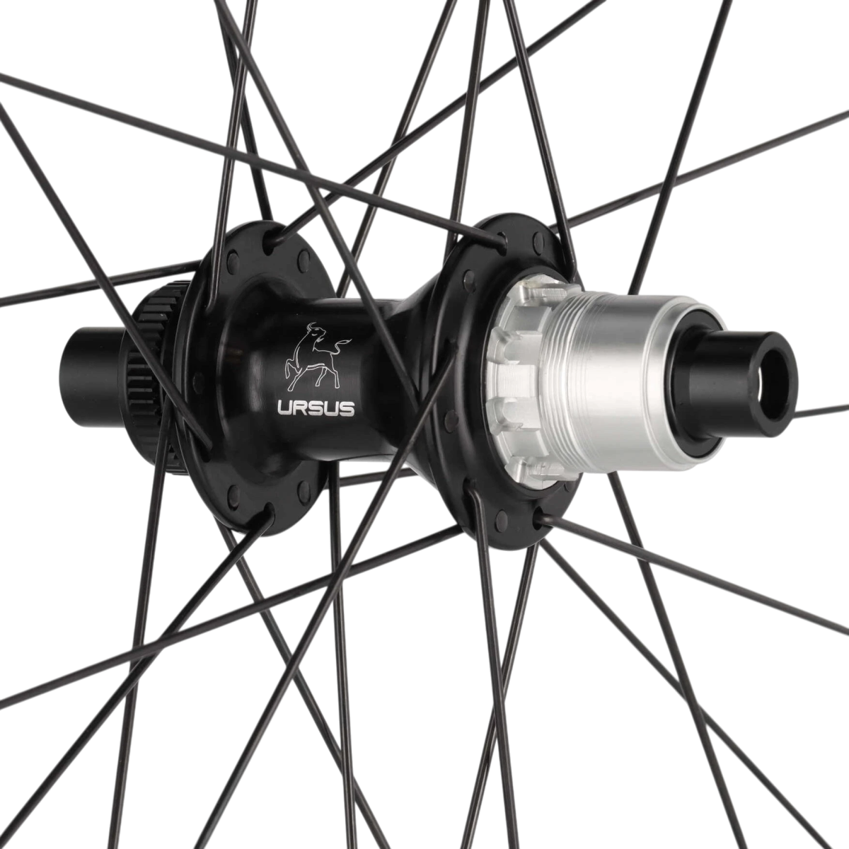 URSUS Laufradsatz C37 Carbon Rennrad Disc Steckachsen 12x100 / 12x142 mm SRAM XDR - RAAAD.de