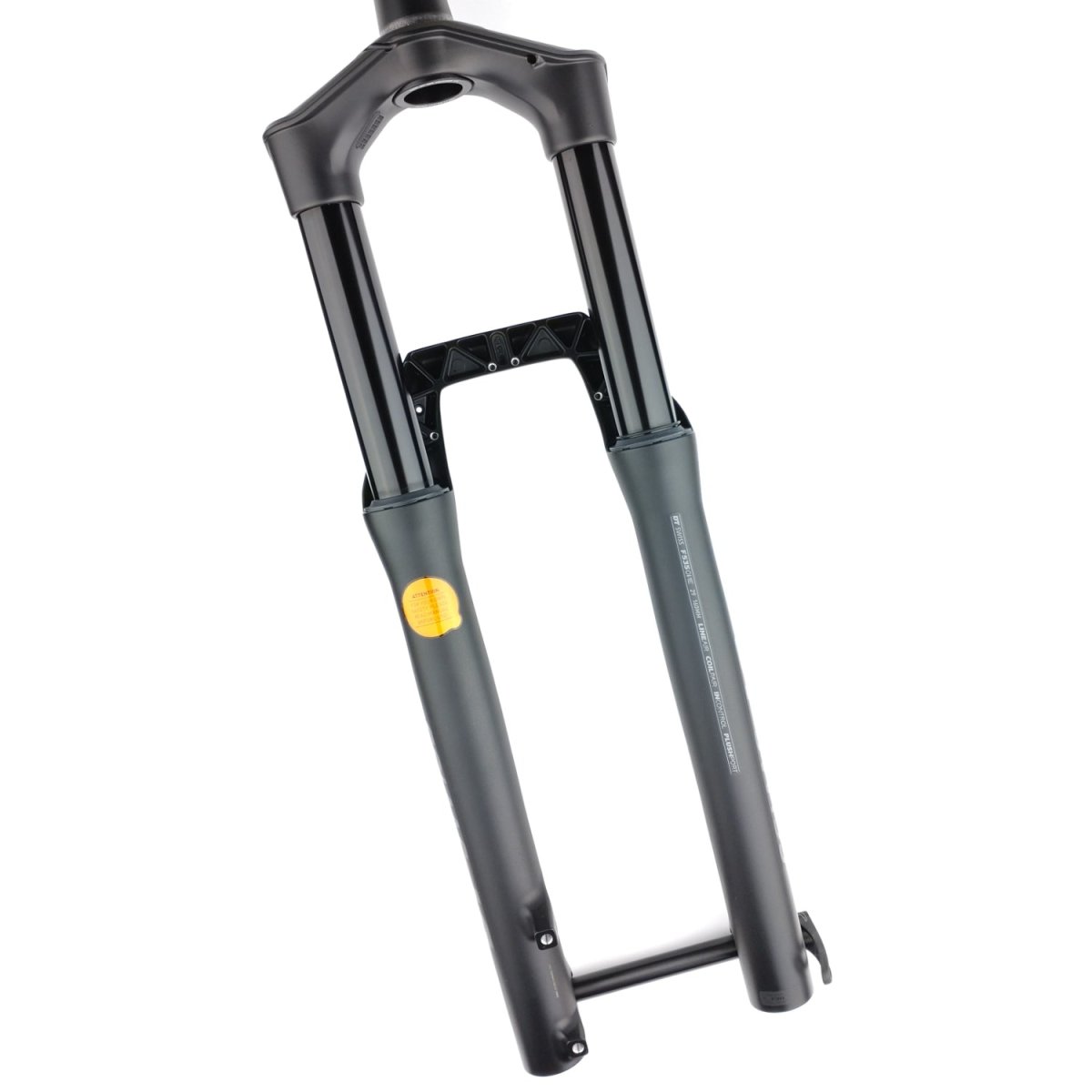 DT Swiss F535 ONE 160 mm BOOST 29" Federgabel - RAAAD.de