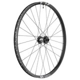 DT Swiss F 1900 Classic Vorderrad 29" | 30 mm Felgenbreite | 20x110 mm Boost | 6 - Loch Disc | Downhill - RAAAD.de