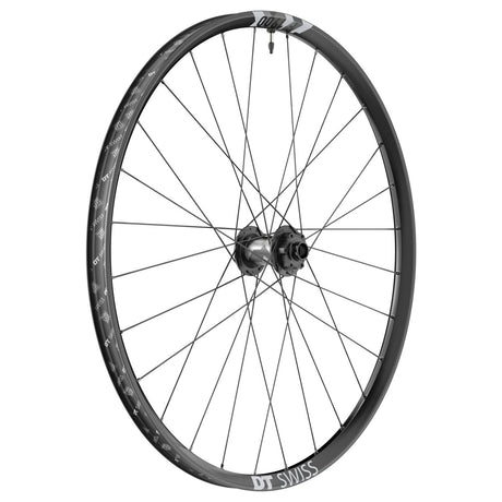 DT Swiss F 1900 Classic Vorderrad 29" | 30 mm Felgenbreite | 20x110 mm Boost | 6 - Loch Disc | Downhill - RAAAD.de