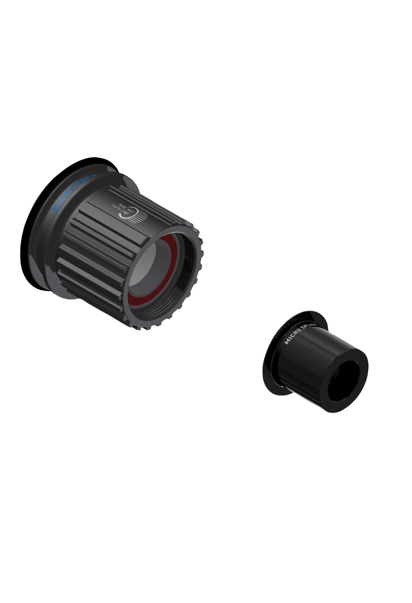 DT Swiss Ratchet LN Stahl - Freilaufkörper und Endkappe | Shimano Micro Spline | 12 - fach (B - Ware) - RAAAD.de