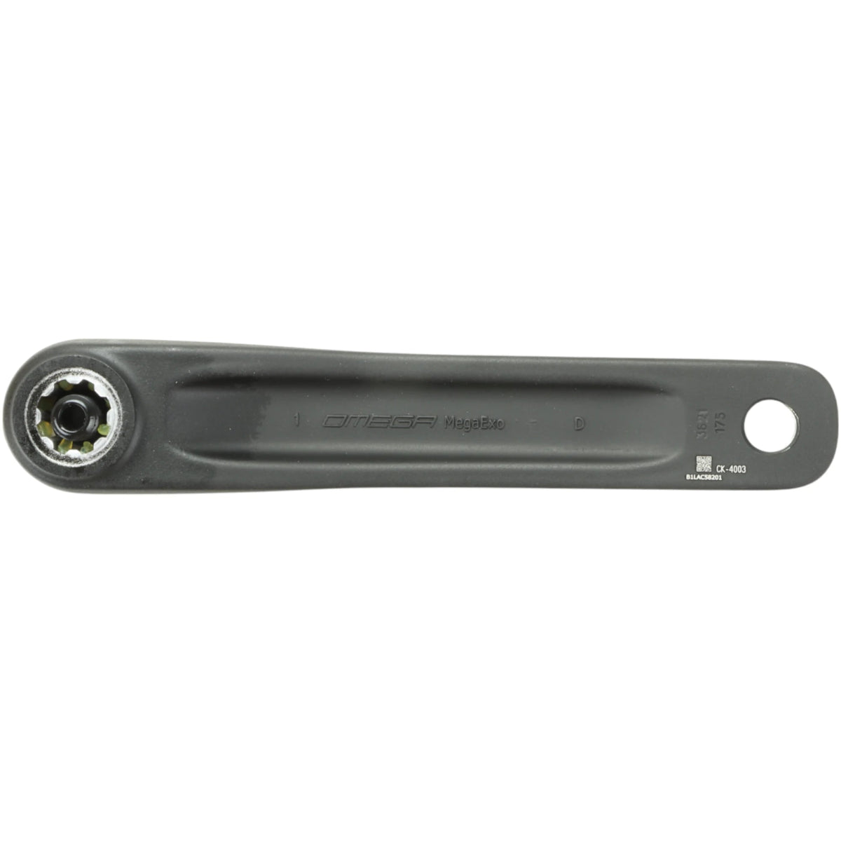 FSA Kurbel 1X Omega 19 mm Achse 175 mm 40T Kettenblatt (10/11 - fach) - RAAAD.de
