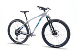 Niner AIR 9 Hardtail MTB 29" | SRAM 12 - fach | Fox Float 32 | silber/blau | Modell 2023 - RAAAD.de