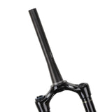 RockShox Lyrik Ultimate RC2 170 mm 29 Zoll Boost 51 mm Offset Tapered - RAAAD.de